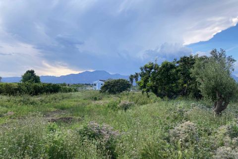 Finca i El Perello, Tarragona, El Perello - € 35.000 | Ref: Finca rústica p - foto 17